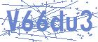 securityCode