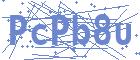 securityCode
