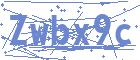 securityCode