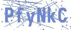 securityCode