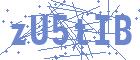 securityCode