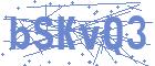 securityCode