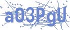 securityCode
