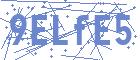 securityCode