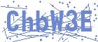 securityCode