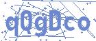 securityCode