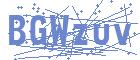securityCode