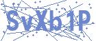 securityCode