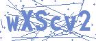 securityCode