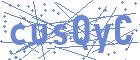 securityCode