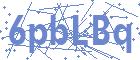 securityCode