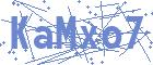securityCode