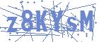 securityCode