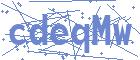 securityCode