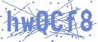 securityCode