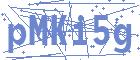 securityCode
