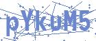 securityCode