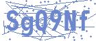 securityCode