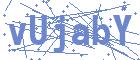 securityCode