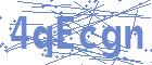 securityCode