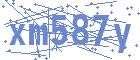 securityCode