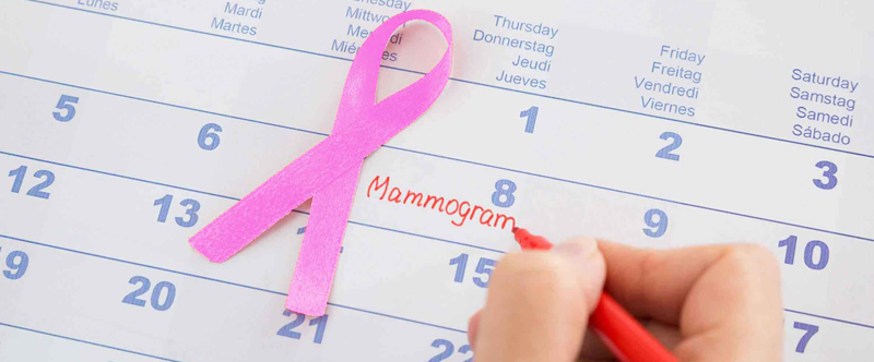 understanding-mammogram